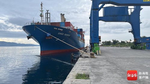 印尼毛椰直達海南,如何為產業提質增效