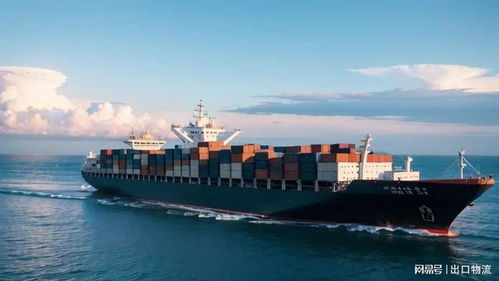 菲律賓雙清海運專線物流,中國海運和面機到馬尼拉,宿務,達沃