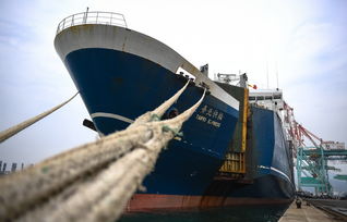 日媒說臺灣為大陸產品 洗產地 ,臺當局急反駁 沒有