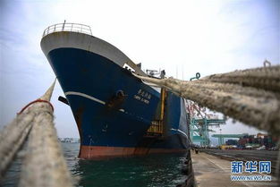 高雄至平潭開通海上貨運直航 臺灣產品9小時對接大陸市場