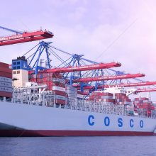 選擇中國供應商及海運物流的全面指南